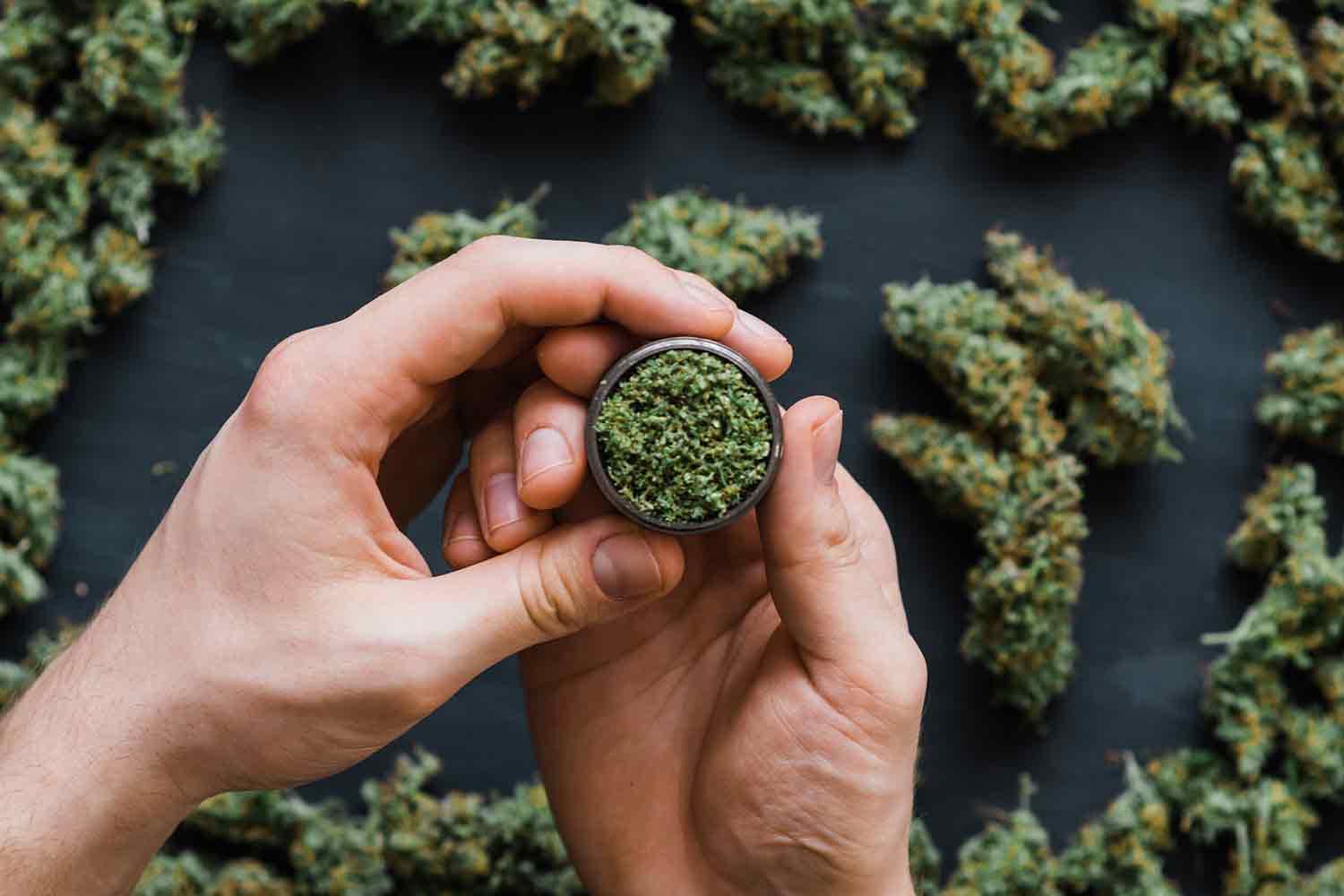 Einzigartige Sorten auf Lager – Weed Samen kaufen mit Premium-Auswahl