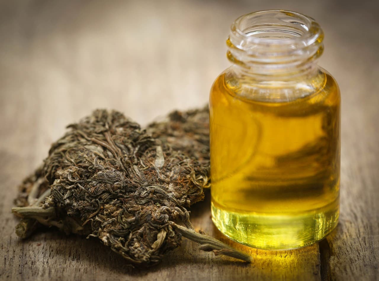 THC Öl herstellen mit dem Cannolator – Selbstversorgung aus dem Coffeeshop