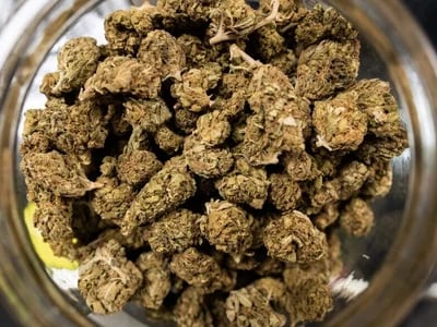 Top-Gründe zum Kaufen THCA: Exklusive THCA-Blüten, Hasch und Vape-Produkte bequem online bestellen