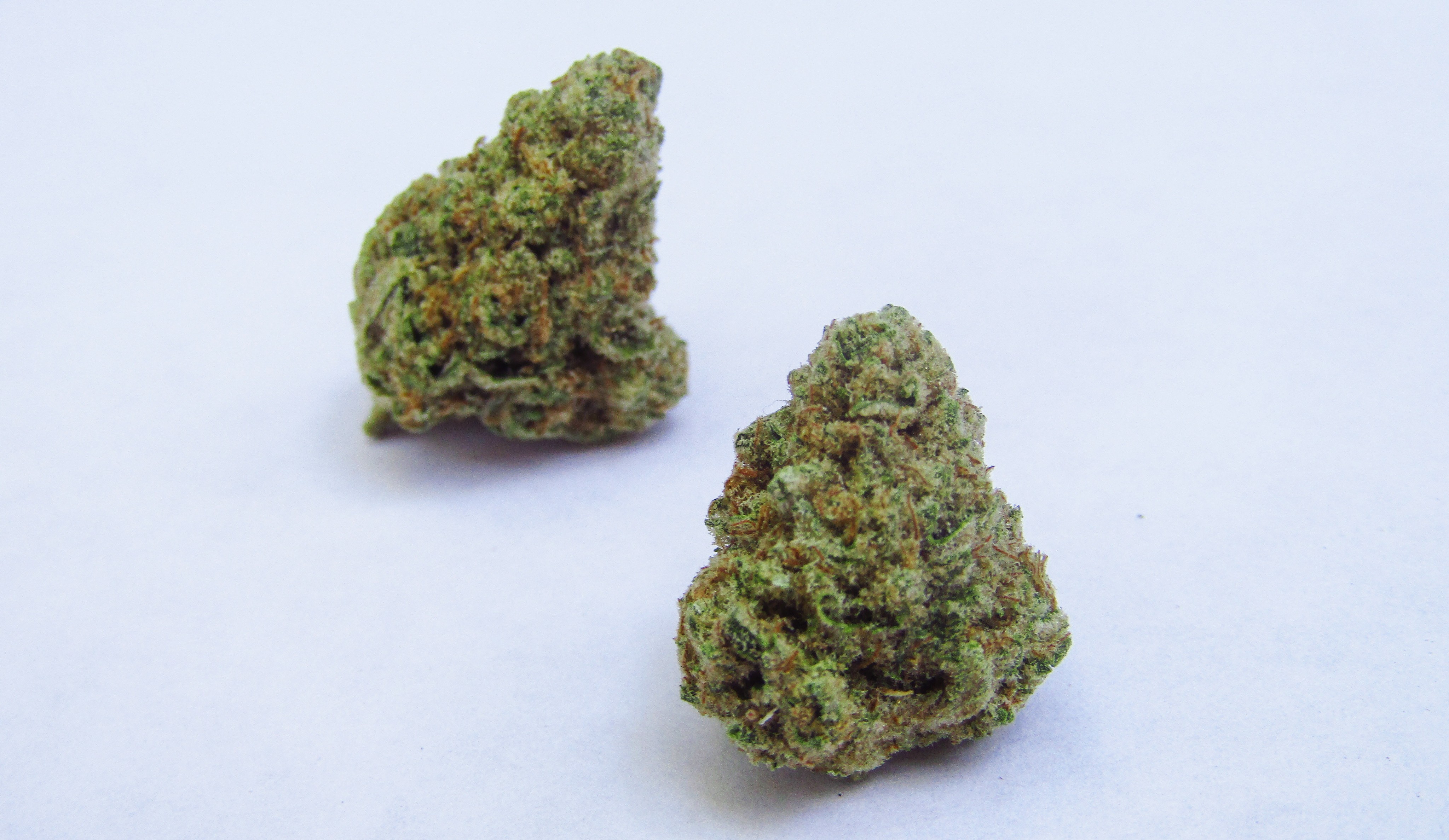 Top-Gründe zum Kaufen THCA: Exklusive THCA-Blüten, Hasch und Vape-Produkte bequem online bestellen